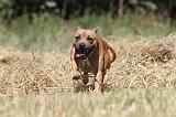 STAFFIE 112